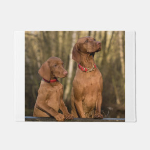 Felpudo grupo del vizsla