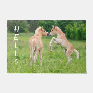 Felpudo Haflinger Horses Cute Foals Amigos Rearing Photo