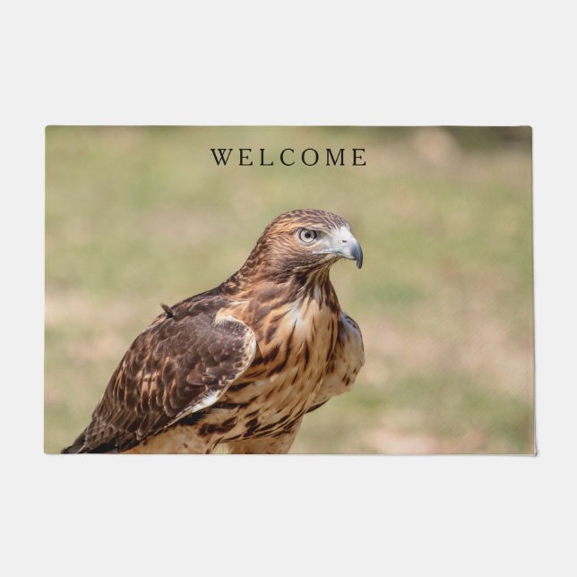 Felpudo Halcón de cola roja en el Valle de Hudson (Anverso)