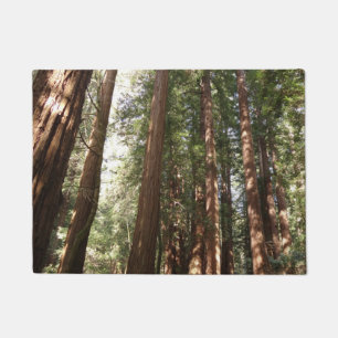 Felpudo Hasta Redwoods II en el Monumento Nacional Muir Wo
