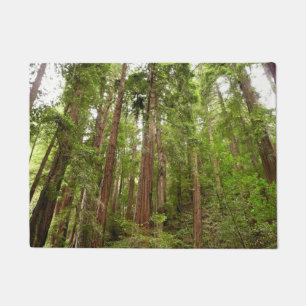 Felpudo Hasta secuoyas en el Monumento Nacional Muir Woods