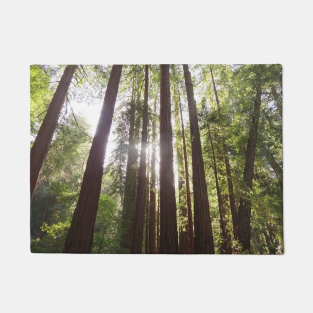 Felpudo Hasta secuoyas por la mañana (Anverso)