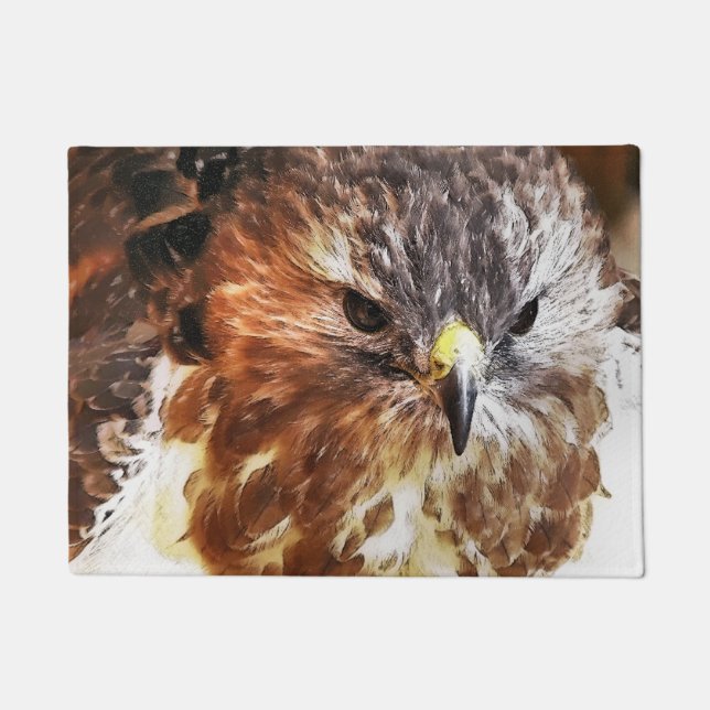 FELPUDO HAWK (Anverso)