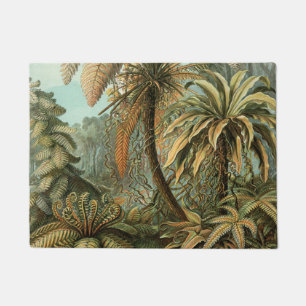 Felpudo Helechos Palma Árbol Antiguo Arte Botánico Helecho
