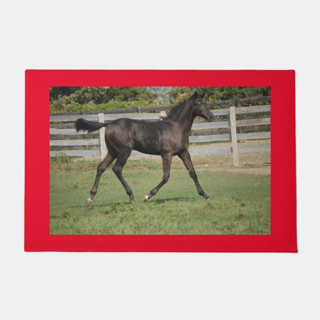 Felpudo Hermosa cría de caballos en el campo (Anverso)