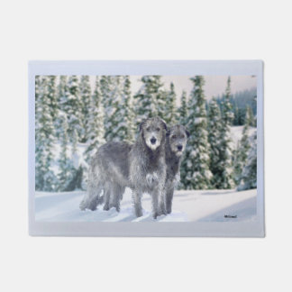 Felpudo Hermosa escena nevada irlandesa Wolfhound