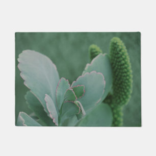 Felpudo Hermosa Planta Desierta Fotografía de Arte