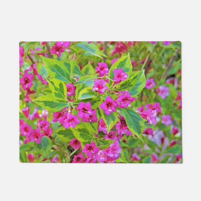 Felpudo Hermosa Weigela verde con flores de Crimson (Anverso)