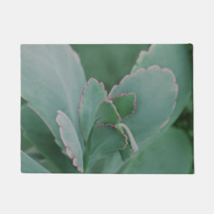 Felpudo Hermosas plantas del desierto