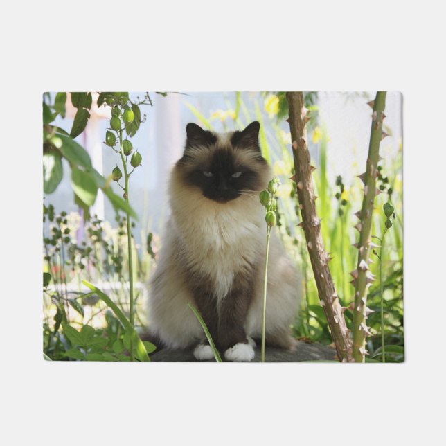 Felpudo Hermoso Ragdoll (Anverso)