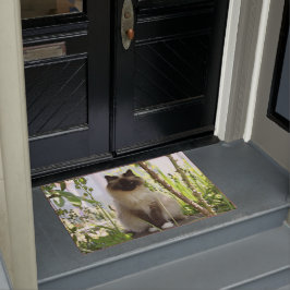 Felpudo Hermoso Ragdoll