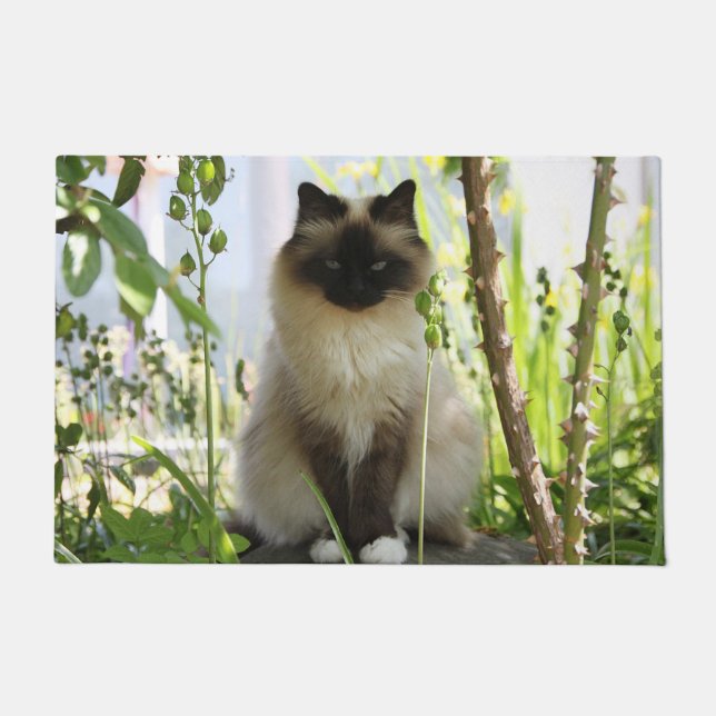 Felpudo Hermoso Ragdoll (Anverso)