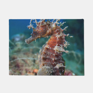 Felpudo Hipocampo Ramulosus del caballo de mar el  
