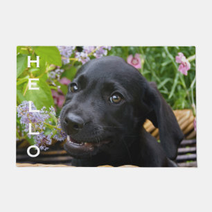 Felpudo Hola Mascota de cachorro de perro de recuperación