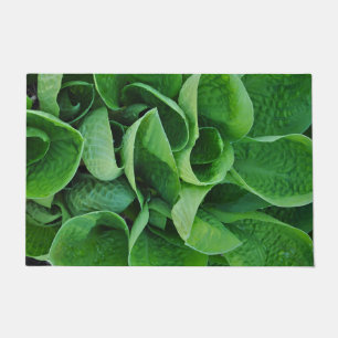 Felpudo Hosta verde