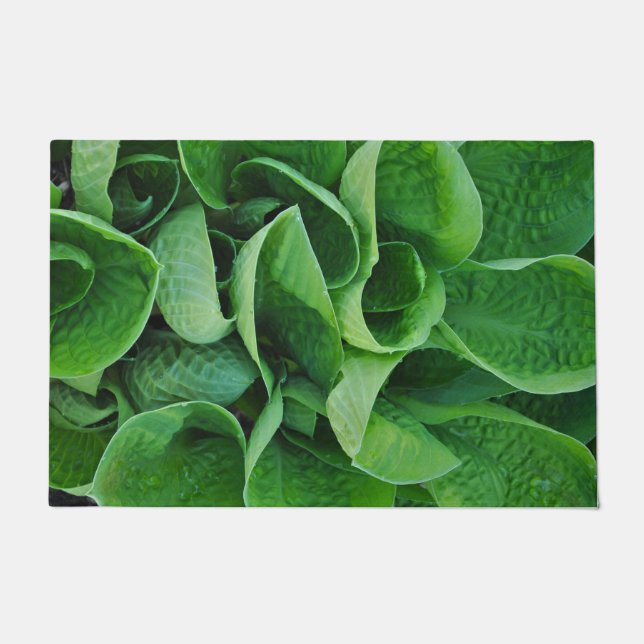 Felpudo Hosta verde (Anverso)