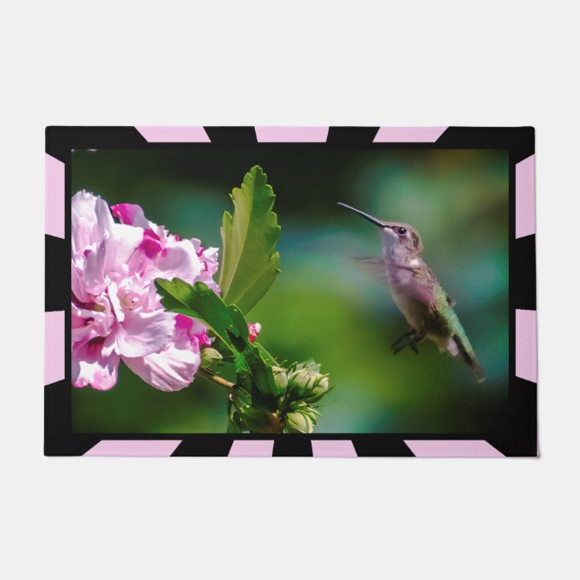 Felpudo Hummingbird - Fotografía original (Anverso)