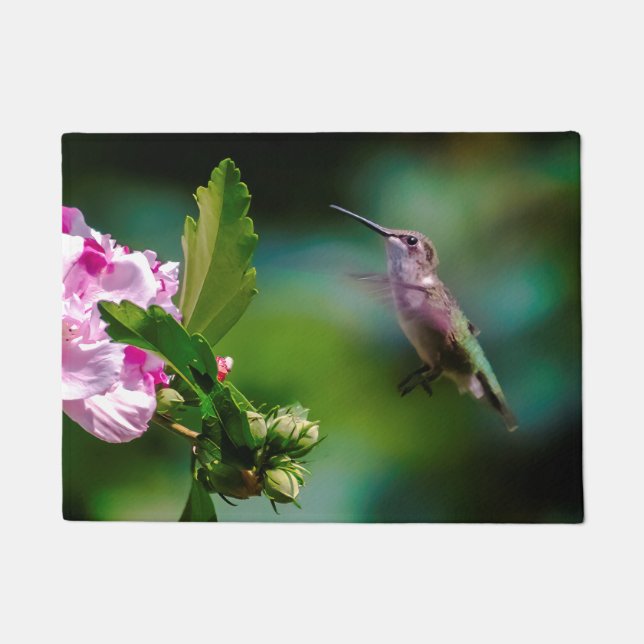 Felpudo Hummingbird - Fotografía original (Anverso)