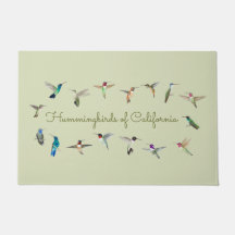 Hummingbirds de California