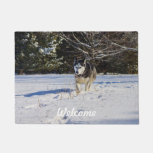 Felpudo Husky siberiano en la nieve