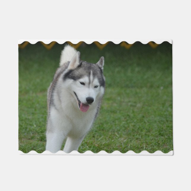 Felpudo Husky siberiano lindo (Anverso)