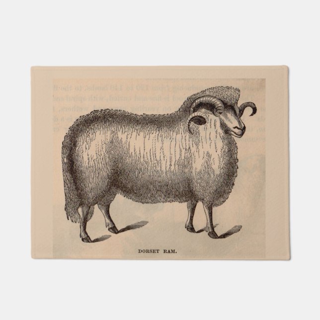 Felpudo Impresión Dorset ram del siglo XIX (Anverso)