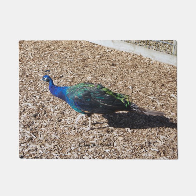 Felpudo Indian Blue Peafowl door mat (Anverso)