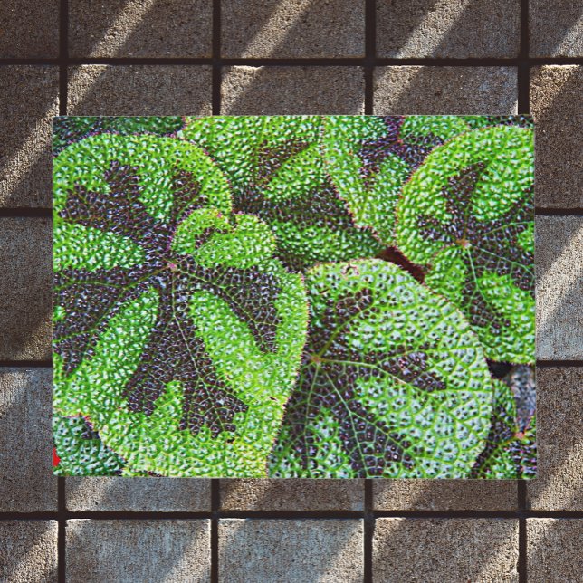 Felpudo Iron Cross Begonia Floral (In Situ)