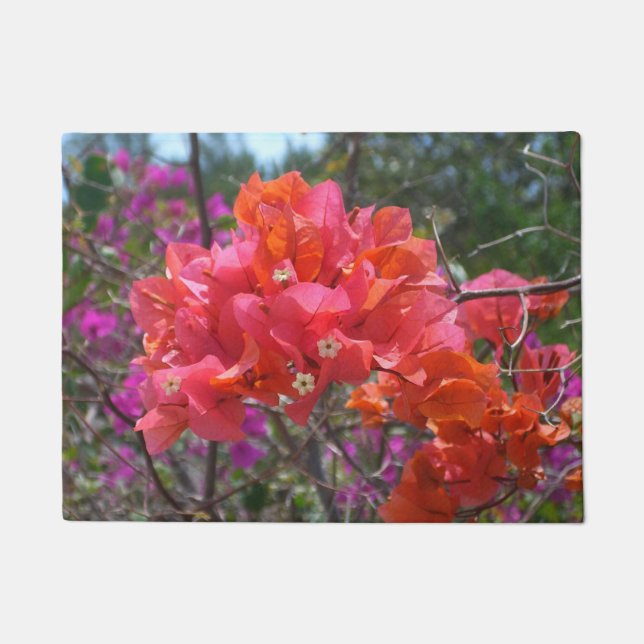 Felpudo Isla Tropical Rosa Bougainvillea Floral (Anverso)