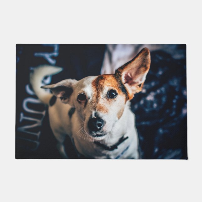 Felpudo Jack Russell Terrier Doormat (Anverso)