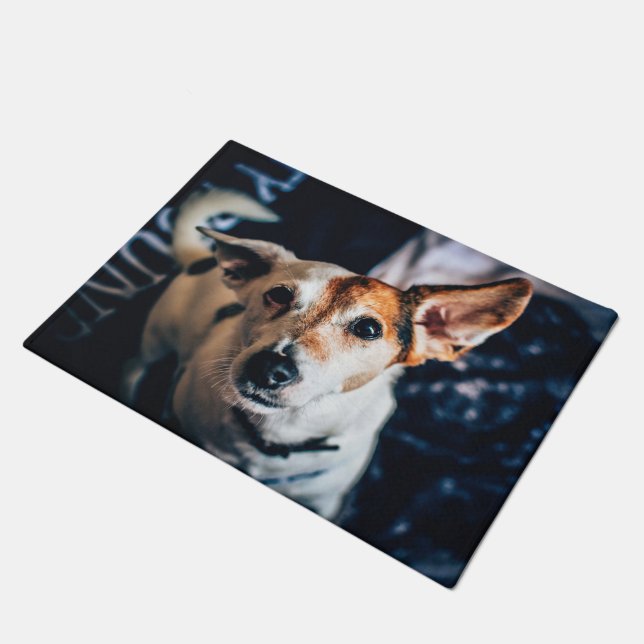 Felpudo Jack Russell Terrier Doormat (Angular)