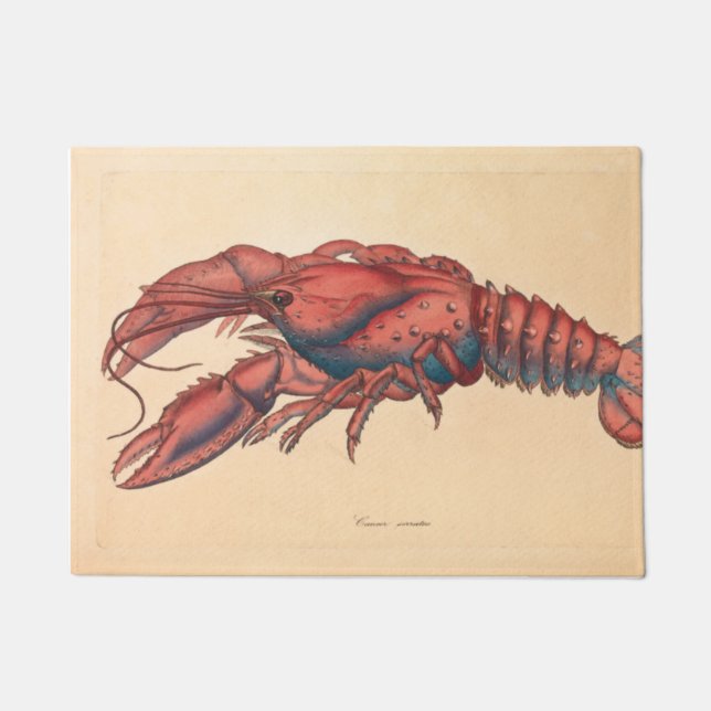 Felpudo James Sowerby Serrate Lobster (Anverso)