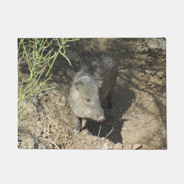 Felpudo Javelina (Anverso)