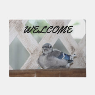 Felpudo Jay Doormat azul