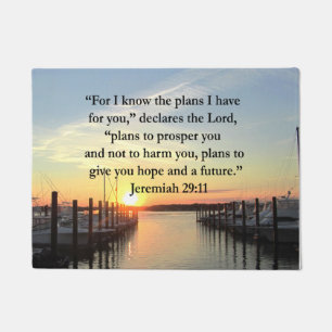 FELPUDO JEREMIAH PACÍFICO 29:11 PUENTE DE SOL