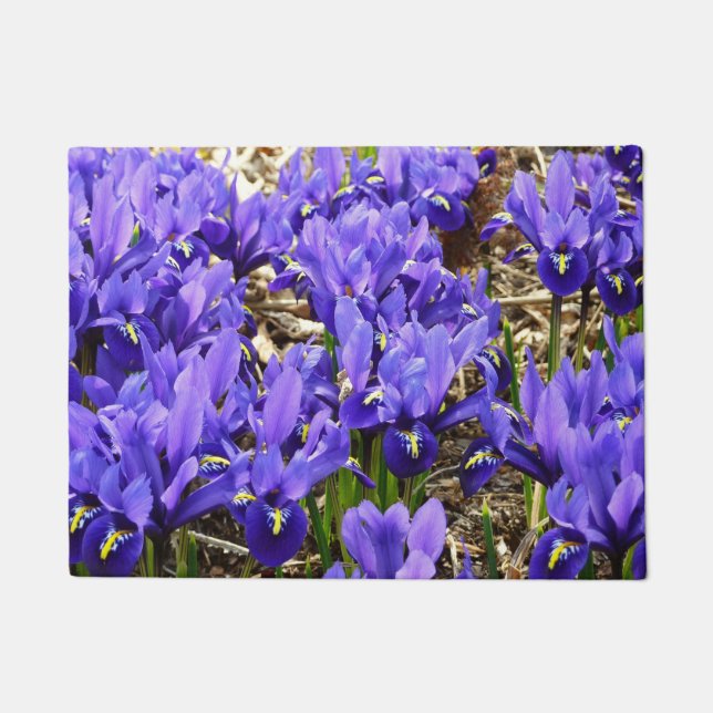 Felpudo Katherine Hodgkin Iris Purple Spring Floral (Anverso)