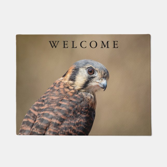 Felpudo Kestrel americano (Anverso)