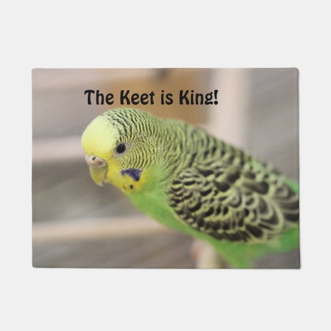 Felpudo Kiwi (Anverso)