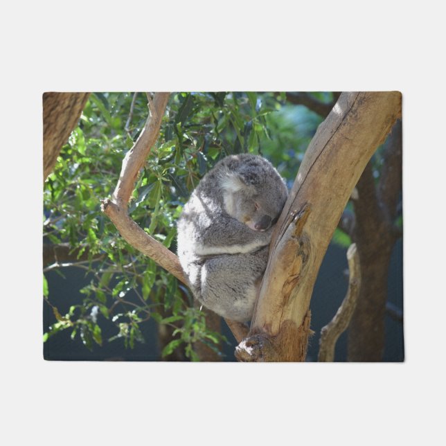 Felpudo Koala del sueño (Anverso)
