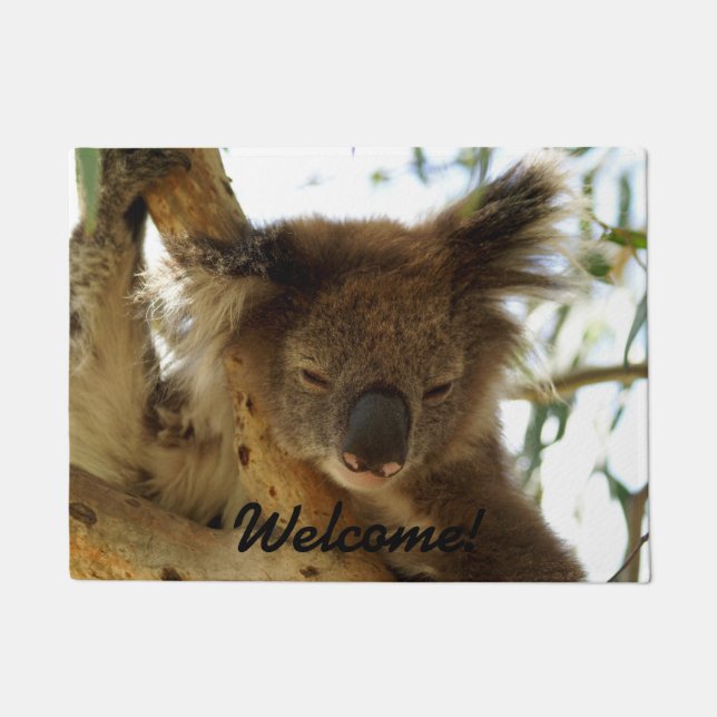 Felpudo Koala salvaje que duerme en el árbol de eucalipto, (Anverso)