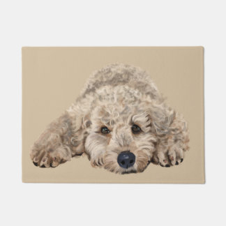 Felpudo Labradoodle
