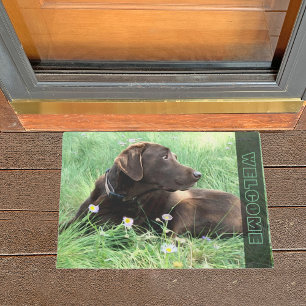 Felpudo Labrador De Chocolate Recuperando Perro En Flores