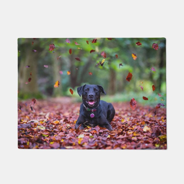 Felpudo Labrador negro en hojas de otoño (Anverso)