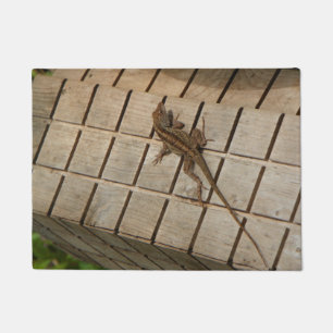 FELPUDO LAGARTO DE BROWN