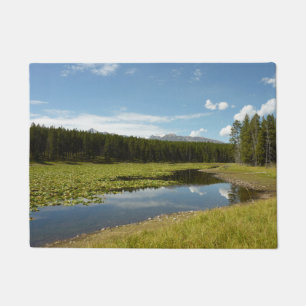 Felpudo Lago Swan I en el Parque Nacional Grand Teton