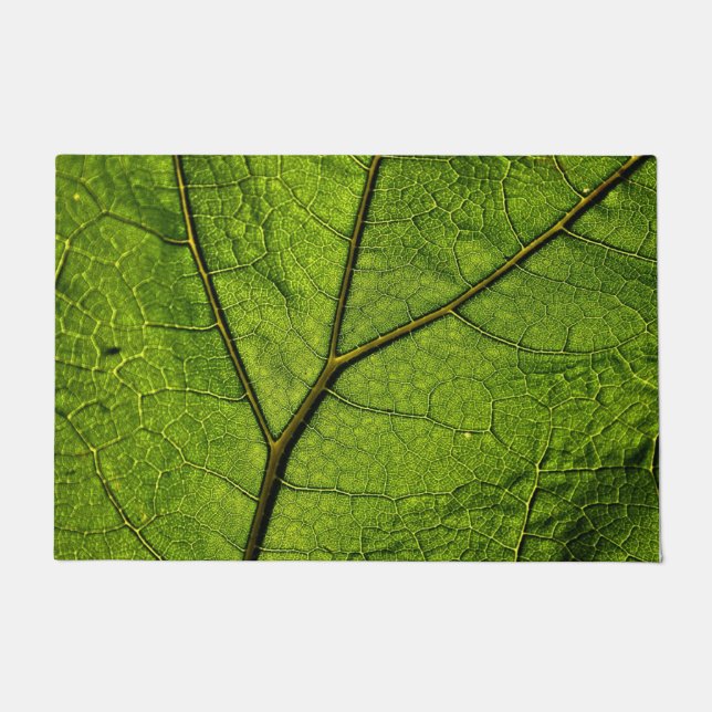 Felpudo Leaf. Butterbur verde (Anverso)