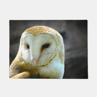 Felpudo Lechuza común contra las nubes de noche
