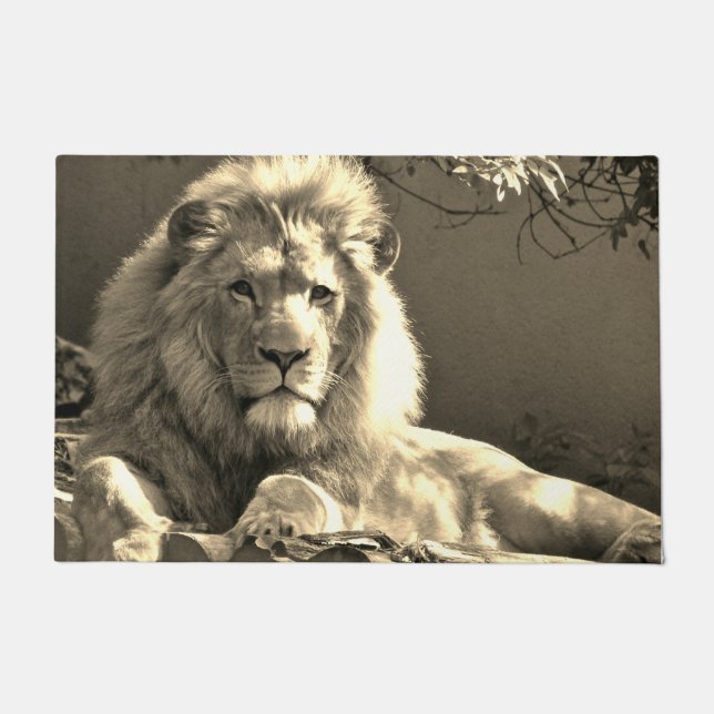 Felpudo León (Anverso)