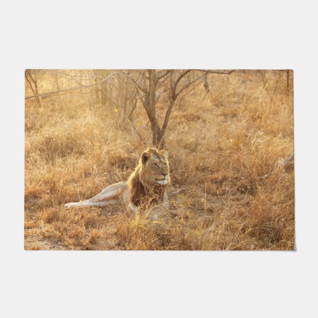 Felpudo León (Anverso)