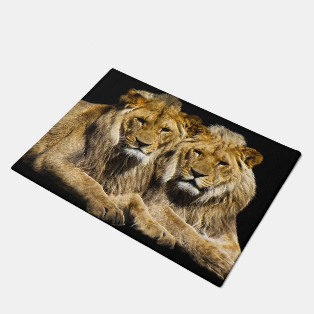 Felpudo Leones peligrosos depredadores (Angular)